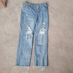 Wild Fable Blue Distressed Straight Leg Jeans